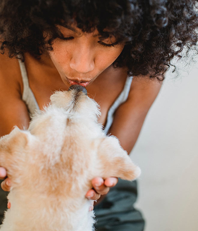 Pet-Friendly Rooms Pet-Friendly Rooms